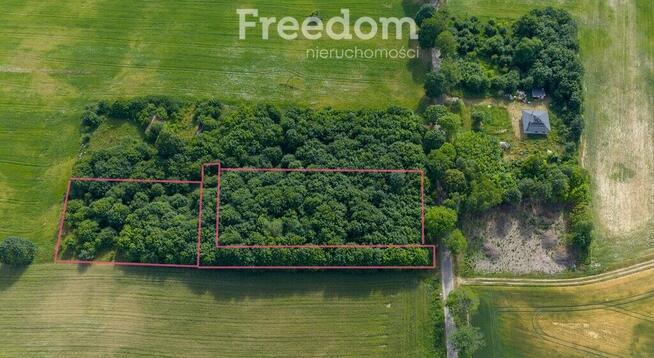 Działki pod mistem, Waszulki