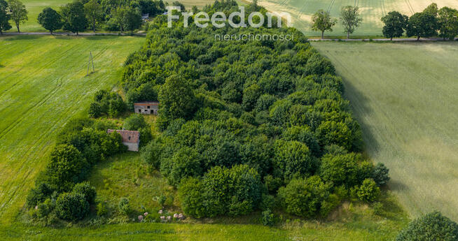 Działki pod mistem, Waszulki