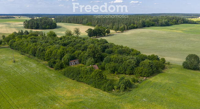 Działki pod mistem, Waszulki