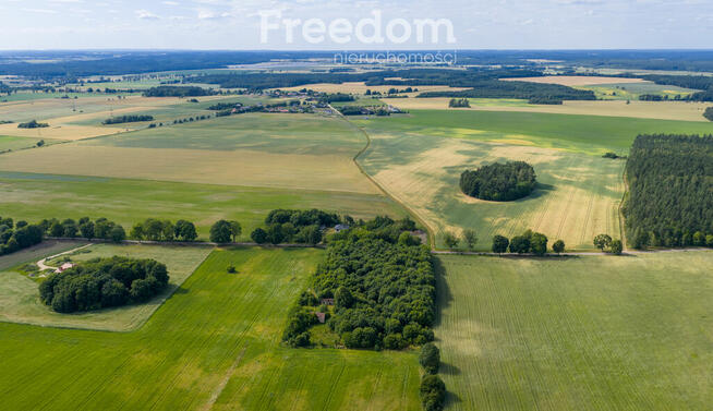 Działki pod mistem, Waszulki