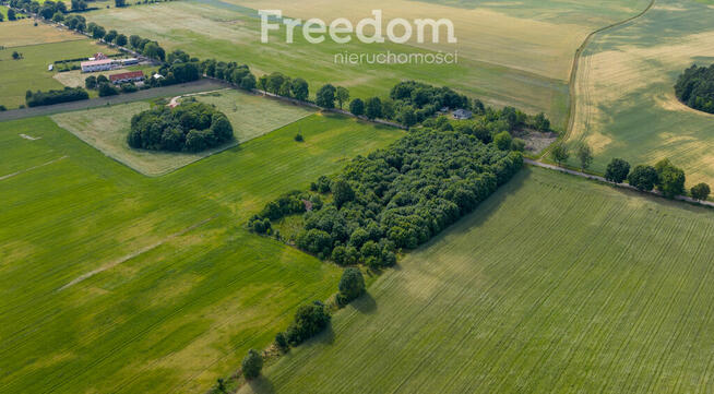 Działki pod mistem, Waszulki