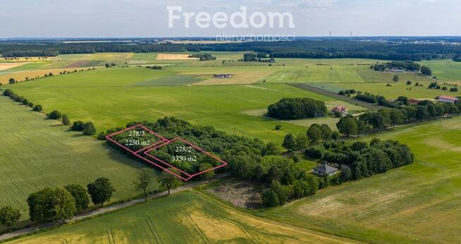 Działki pod miastem z lasem, Waszulki