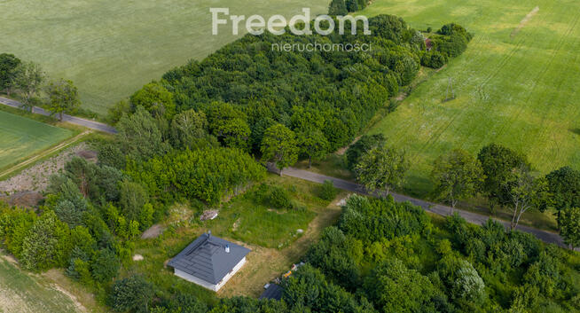 Działki pod miastem z lasem, Waszulki