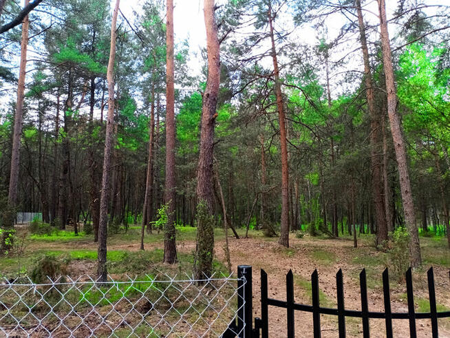 Piękna działka blisko Zalewu Zegrzyńskiego