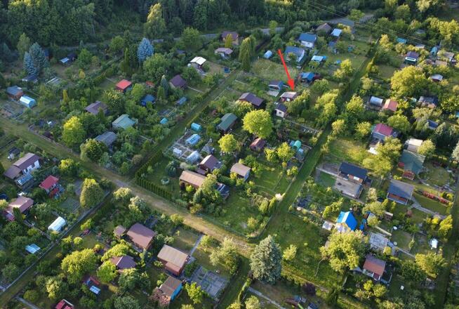 Działka rekreacyjna ROD - Przylaszczka, ul. Nowowiejska