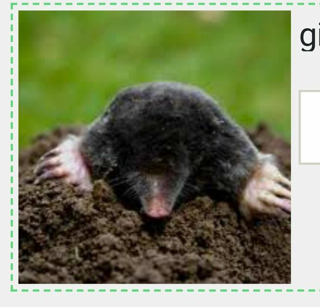 Krety zwalczam .b.skuteczna metoda