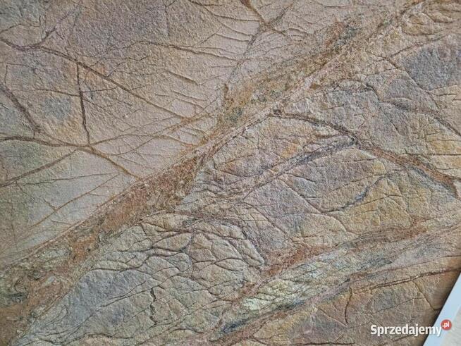 Fornir Kamienny Rainforest Brown tapeta 2MM 305x122x0,2 cm