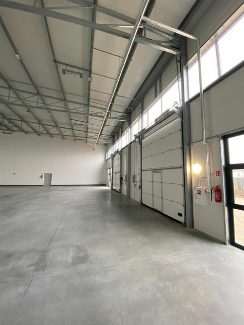 Elewatorska * hale o pow. 250m2
