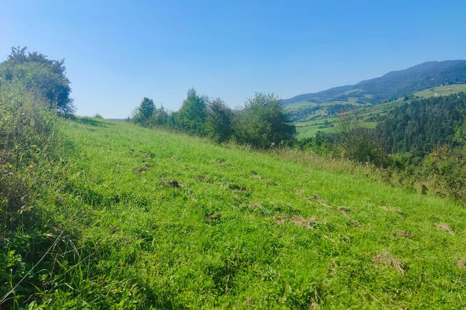 Widokowa działka rolna w Krościenku!