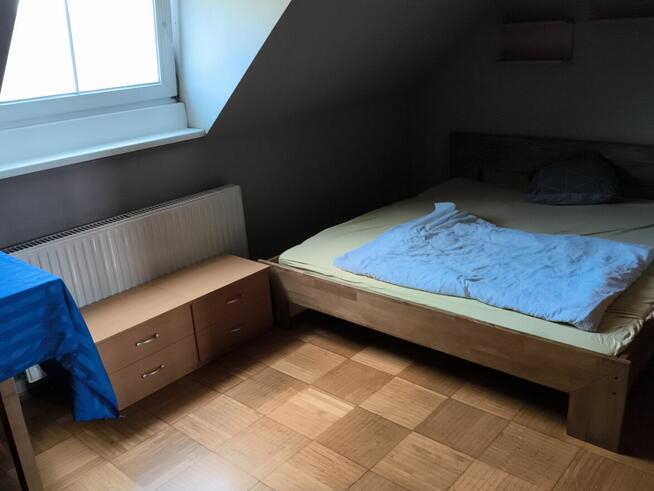 Praca w Austrii przy pieleniu warzyw 10000 tyś na rękę