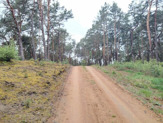 Piękna duża działka inwestycyjna 30km od granic Warszawy
