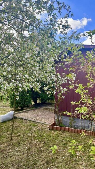 Działka rekreacyjna ROD - Przylaszczka, ul. Nowowiejska