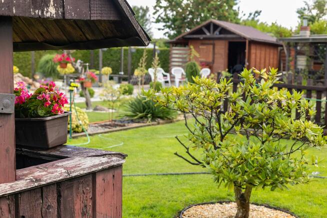 Ogród działkowy ROD z altaną jak maly domek