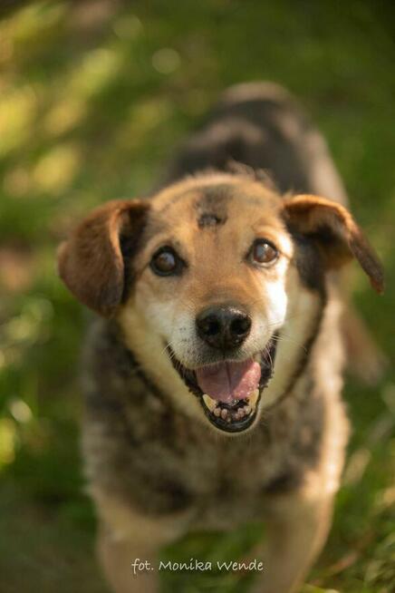 Poznaj Wujka – najukochańszego staruszka świata
