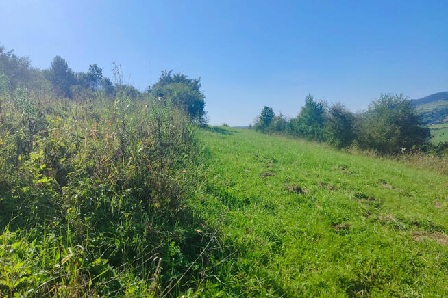 Widokowa działka rolna w Krościenku!