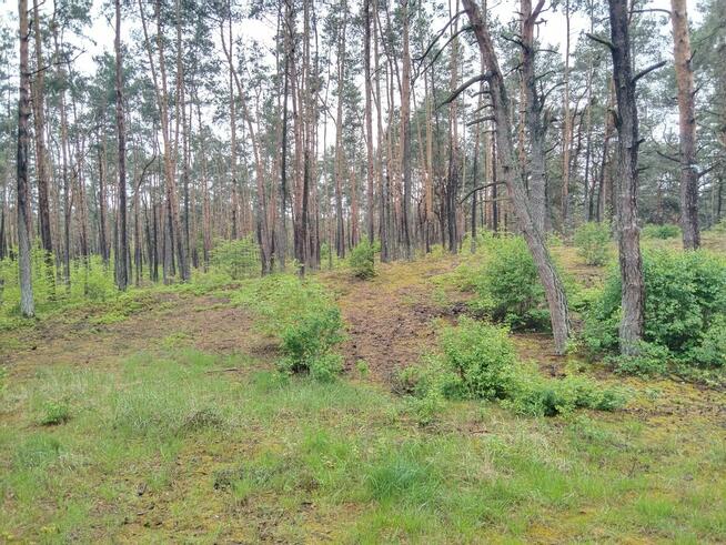Piękna duża działka inwestycyjna 30km od granic Warszawy