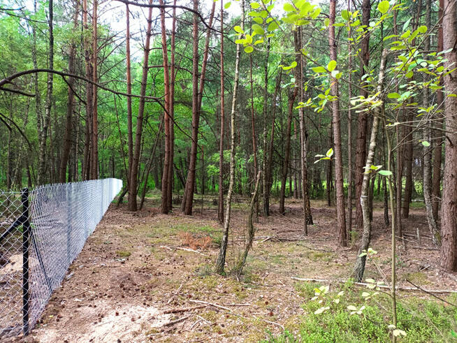 Piękna działka blisko Zalewu Zegrzyńskiego