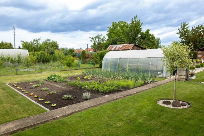 Ogród działkowy ROD - Twój zielony azyl w sercu Kluczborka