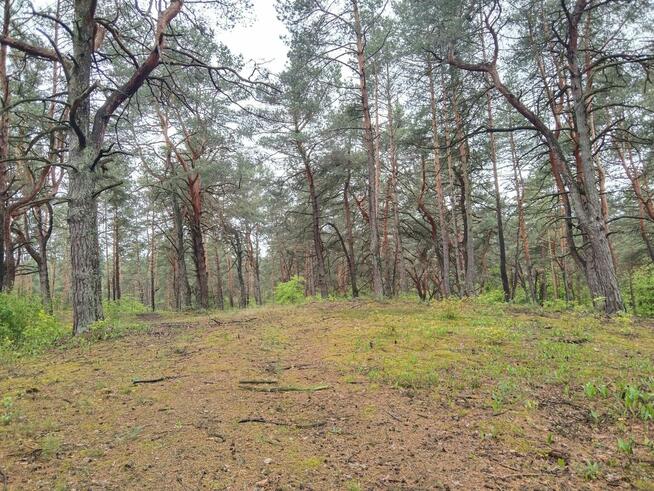 Piękna duża działka inwestycyjna 30km od granic Warszawy