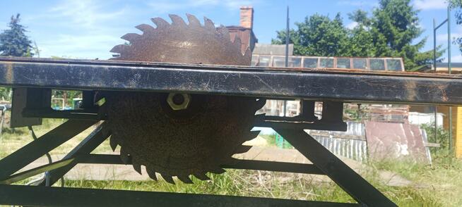 Piła stołowa krajzega