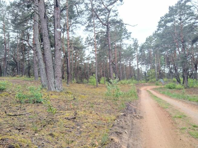 Piękna duża działka inwestycyjna 30km od granic Warszawy
