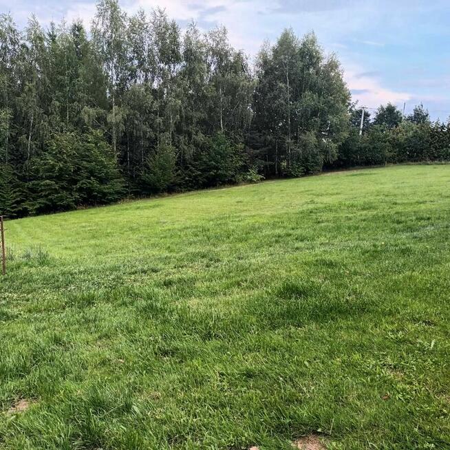 Sobolów, Wola Nieszk.działka bud. rolna 13a,las,