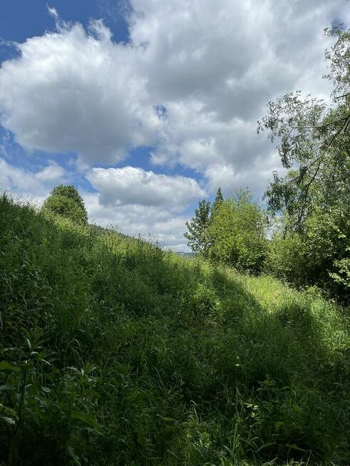 działka rolna 2666 w Muszynie