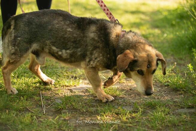 Poznaj Wujka – najukochańszego staruszka świata