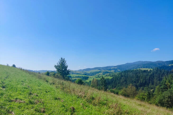 Widokowa działka rolna w Krościenku!