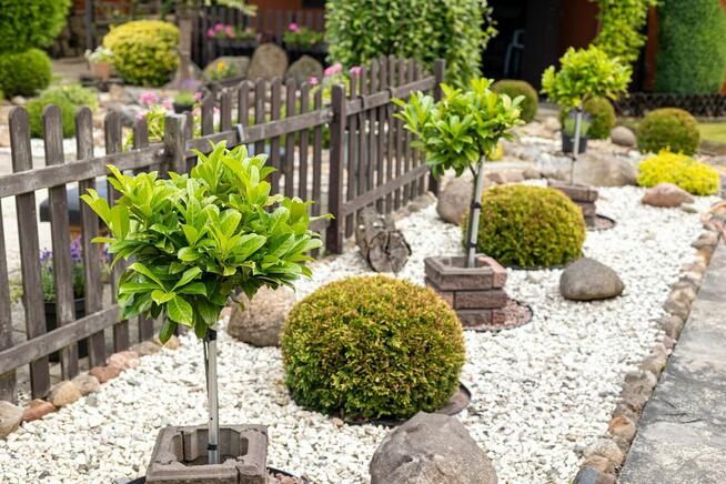 Ogród działkowy ROD z altaną jak maly domek