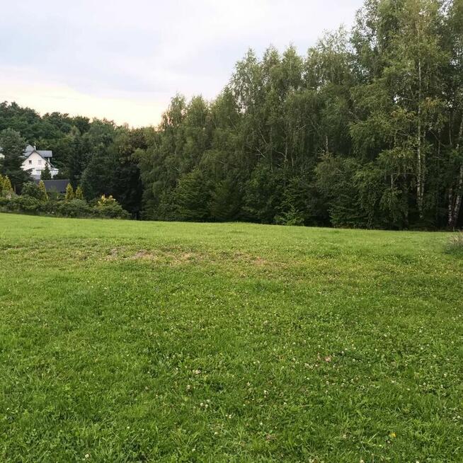 Sobolów, Wola Nieszk.działka bud. rolna 13a,las,