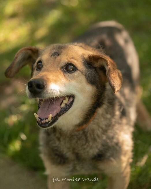 Poznaj Wujka – najukochańszego staruszka świata