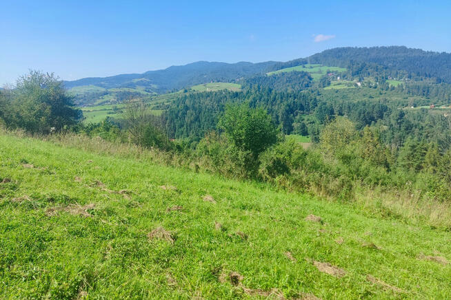 Widokowa działka rolna w Krościenku!