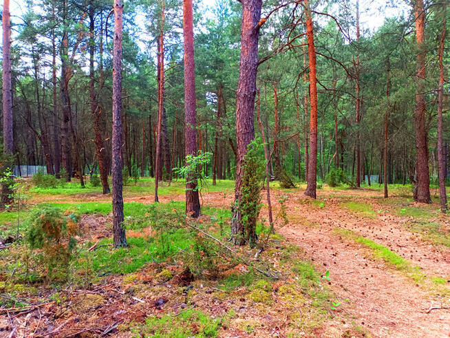 Piękna działka blisko Zalewu Zegrzyńskiego