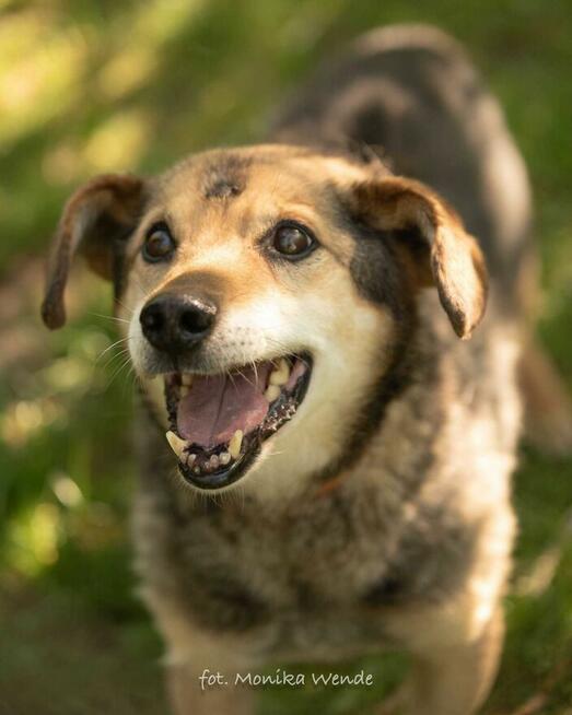 Poznaj Wujka – najukochańszego staruszka świata
