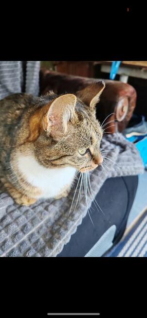 Siostry szukają domku