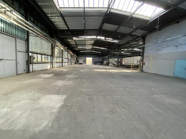 Do wynajęcia hala magazynowa 1.900m²