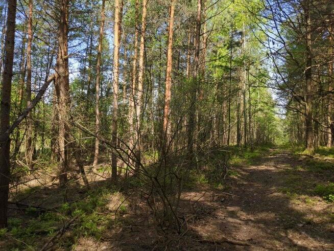 Nieruchomość gruntowa zabudowana od syndyka - Gosań