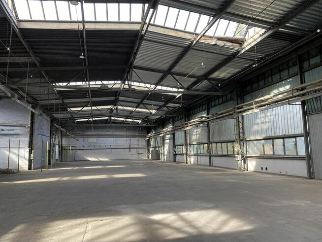 Do wynajęcia hala magazynowa 1.900m²