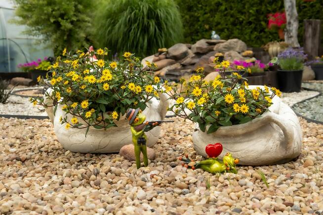 Ogród działkowy ROD - Twój zielony azyl w sercu Kluczborka