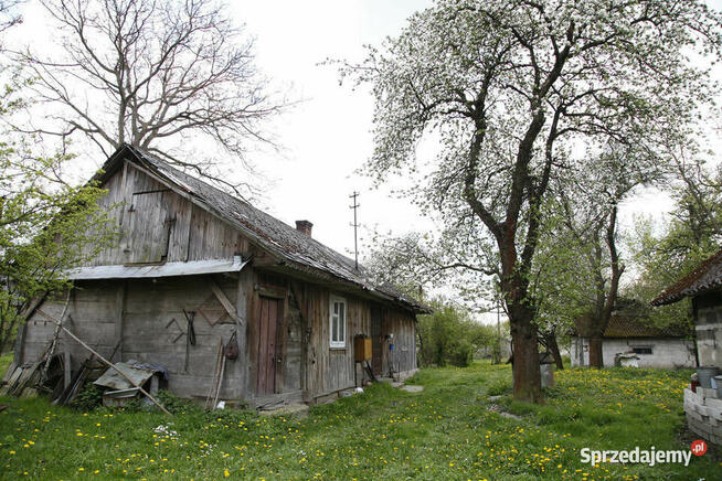 Gospodarstwo z dużą działką, drewniany dom i budynki gosp.
