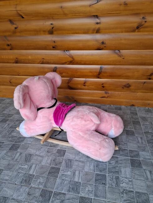 Bujak słonik, piesek