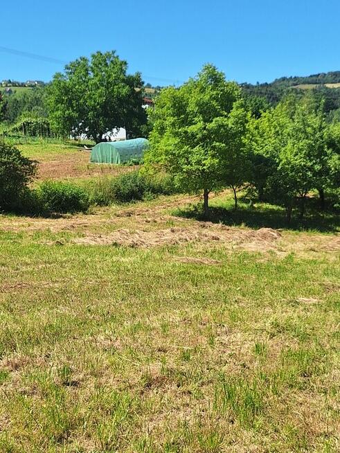 DZIAŁKA 1,12 HA KLĘCZANY GM. CHEŁMIEC