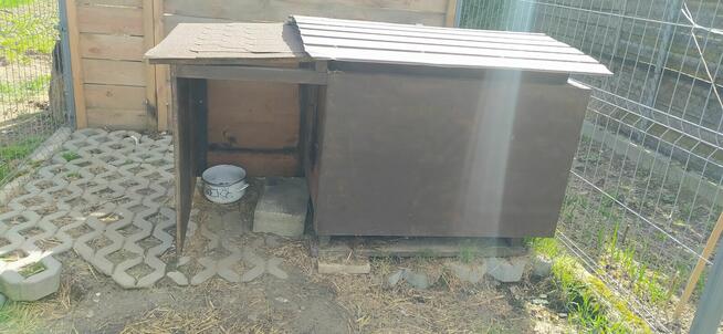 buda dla psa ocieplona