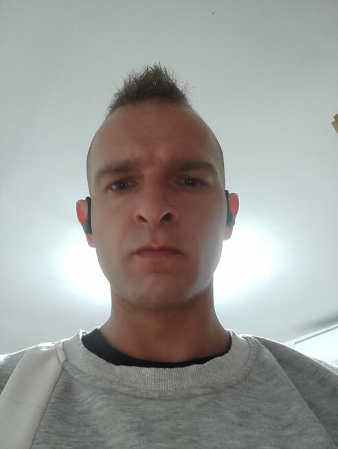 szukam panj
