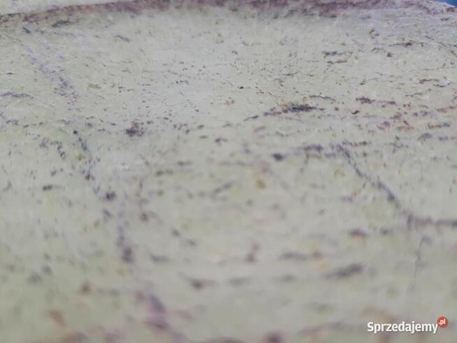 Fornir Transparentny Rainforest Green tapeta 244x122x0,2cm