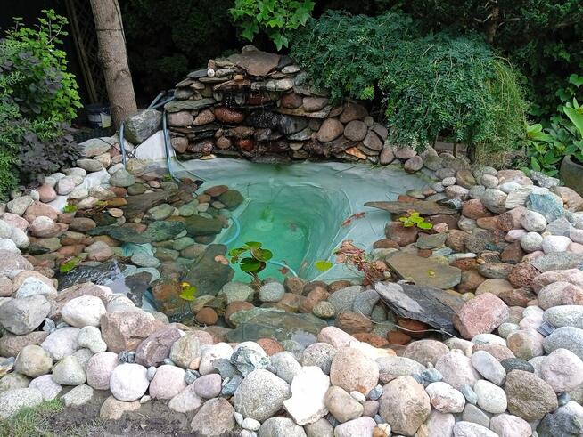 Czyszczenie oczek wodnych