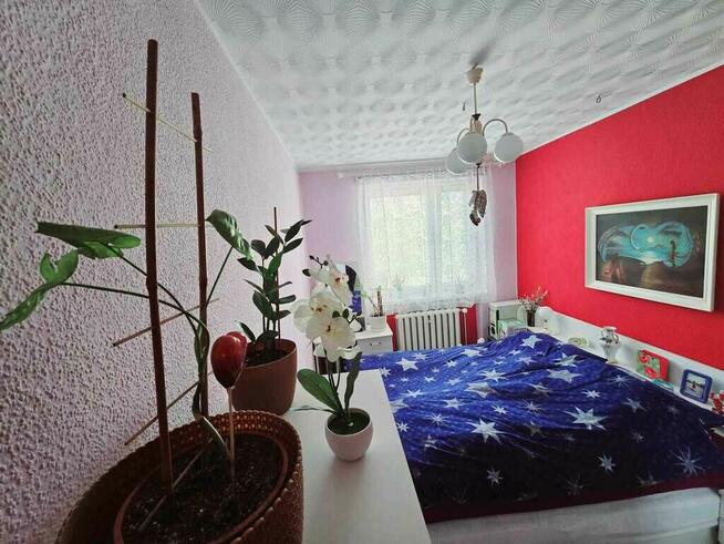 Mieszkanie 61m2 w Chodzieży na sprzedaż , spokojna okolica p