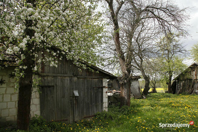 Gospodarstwo z dużą działką, drewniany dom i budynki gosp.