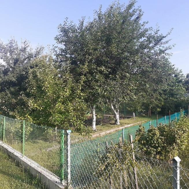 Działka ROD ZORZA w Ziemnicach k/Legnicy (PILNE)